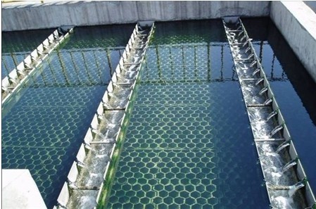 斜板、斜管沉淀池